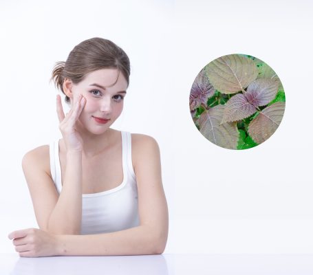 Apply perilla mask to treat melasma 3 times/week (at night)